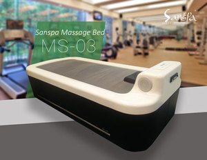 Hydro-Massage Bed